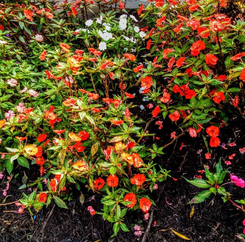 Eacham Memorial Gates Park-马兰达必去景点