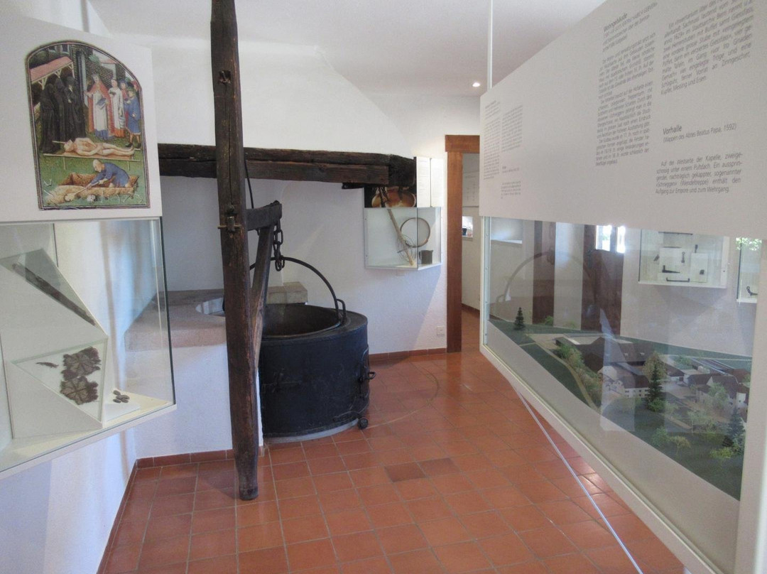 Museum auf der Löwenburg景点图片
