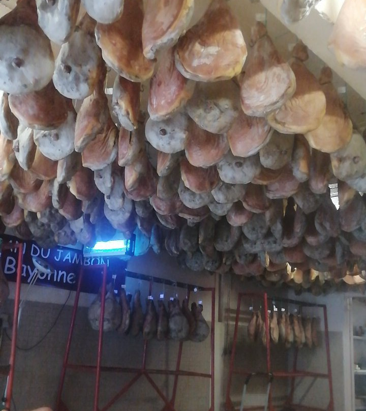 Pierre Ibaialde-Bayonne必去景点