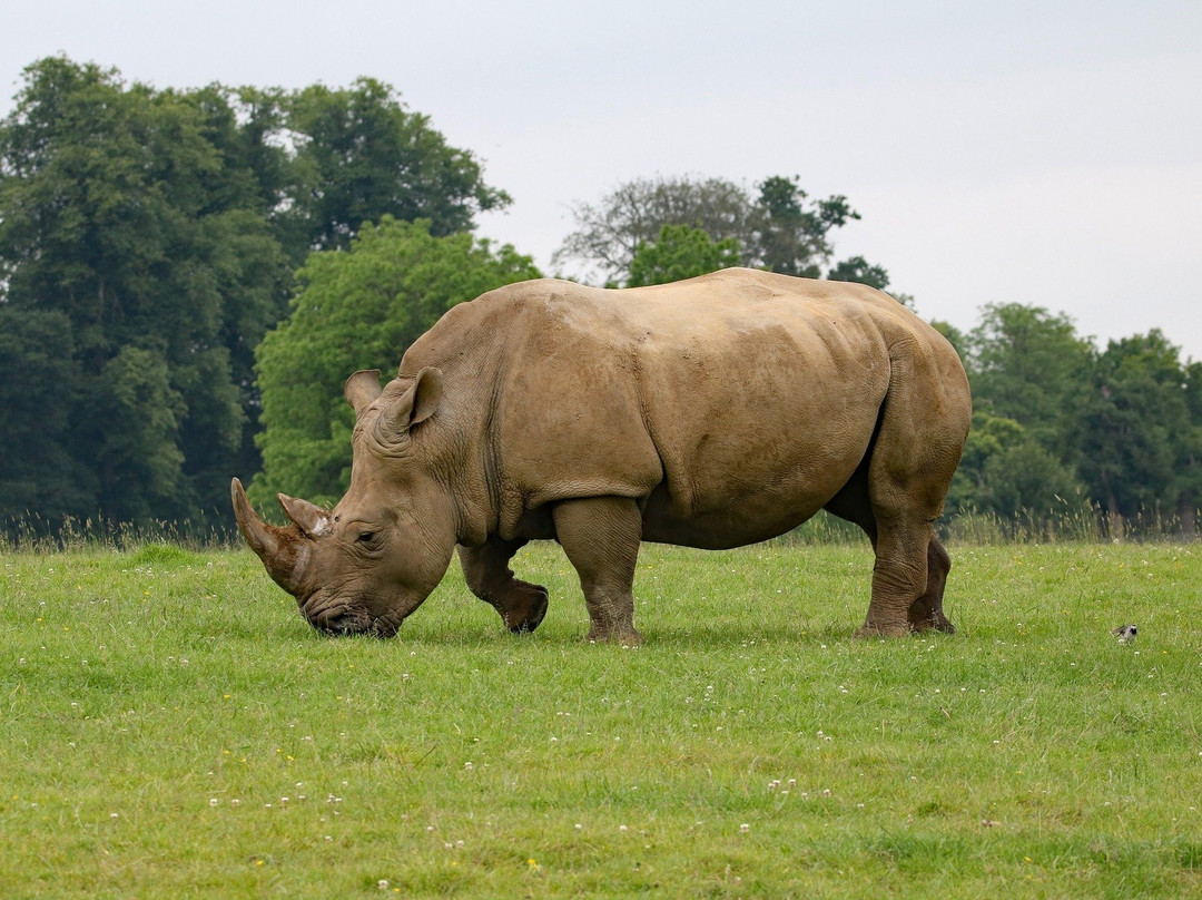 Quest Backpackers Safaris-纳库鲁必去景点