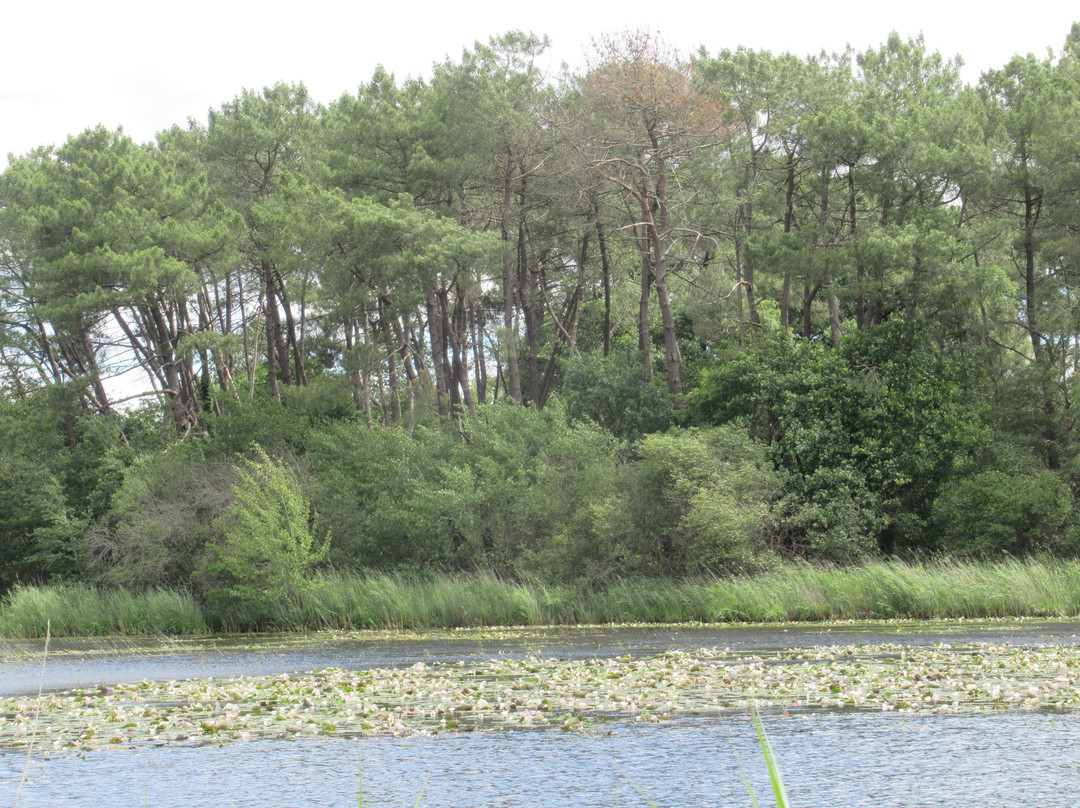 Base de Loisirs de Bellebouche-Mezieres-en-Brenne必去景点