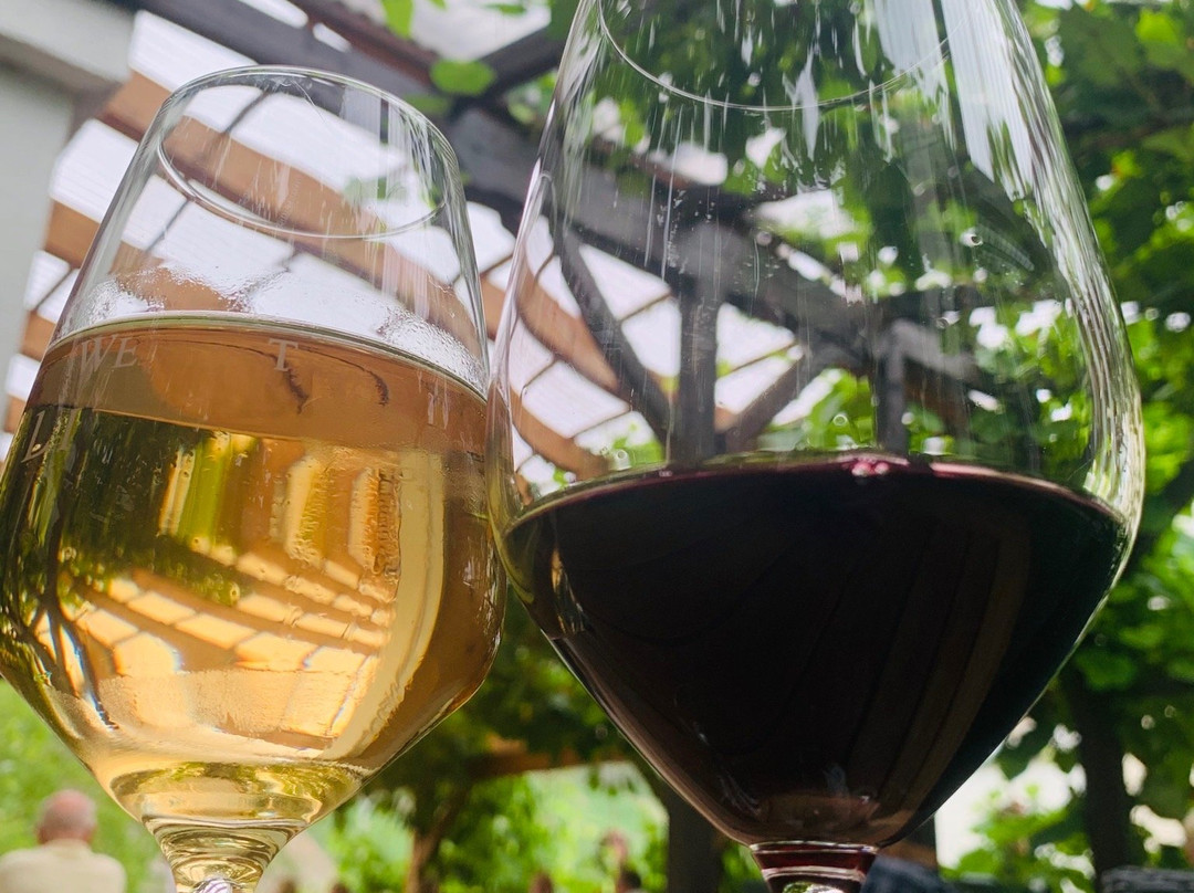 Weingut Didinger-博帕德必去景点