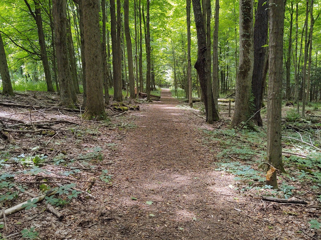 Beaver Lake Nature Center景点图片