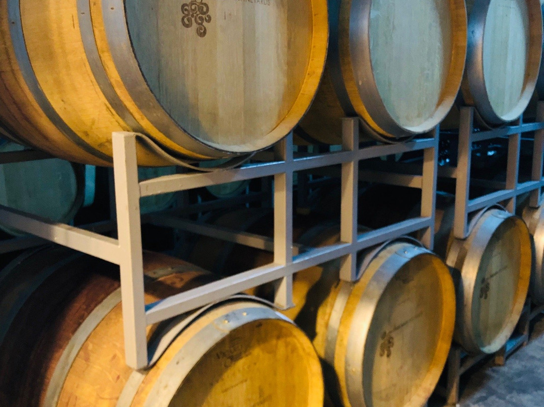 Bakucha Vineyard Hotel主图