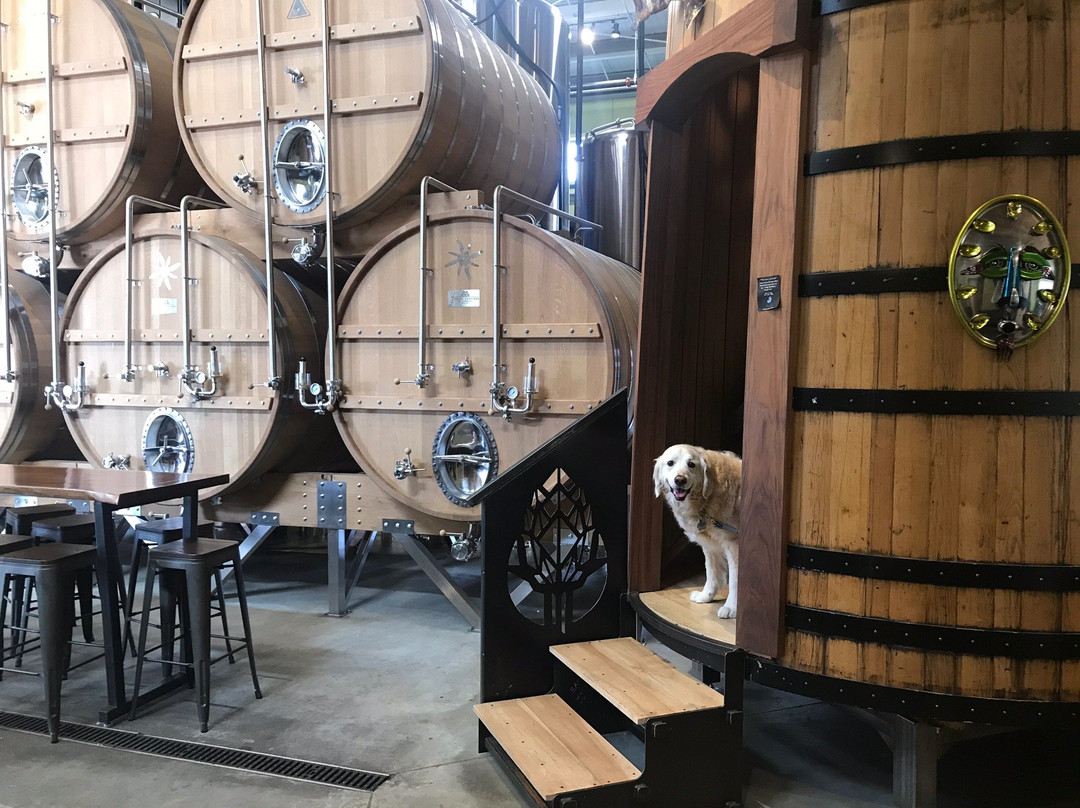 Anchorage Brewing Company-安克雷奇必去景点