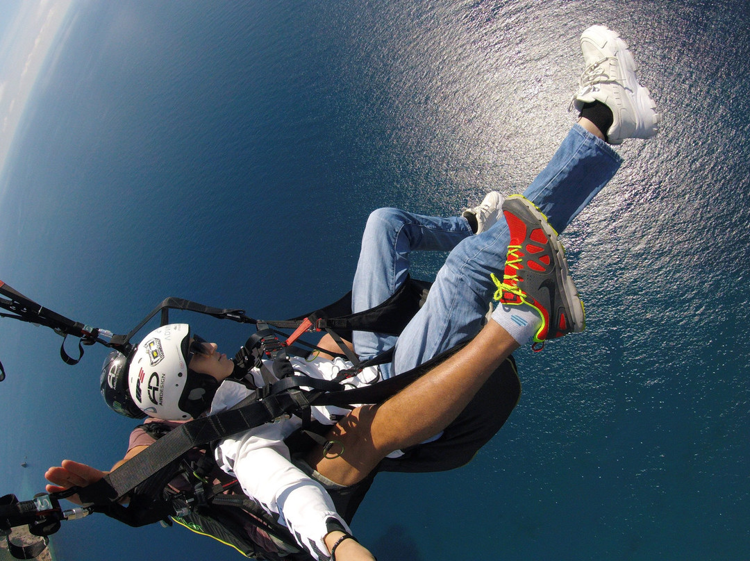 Paragliding Beauty Montenegro景点图片