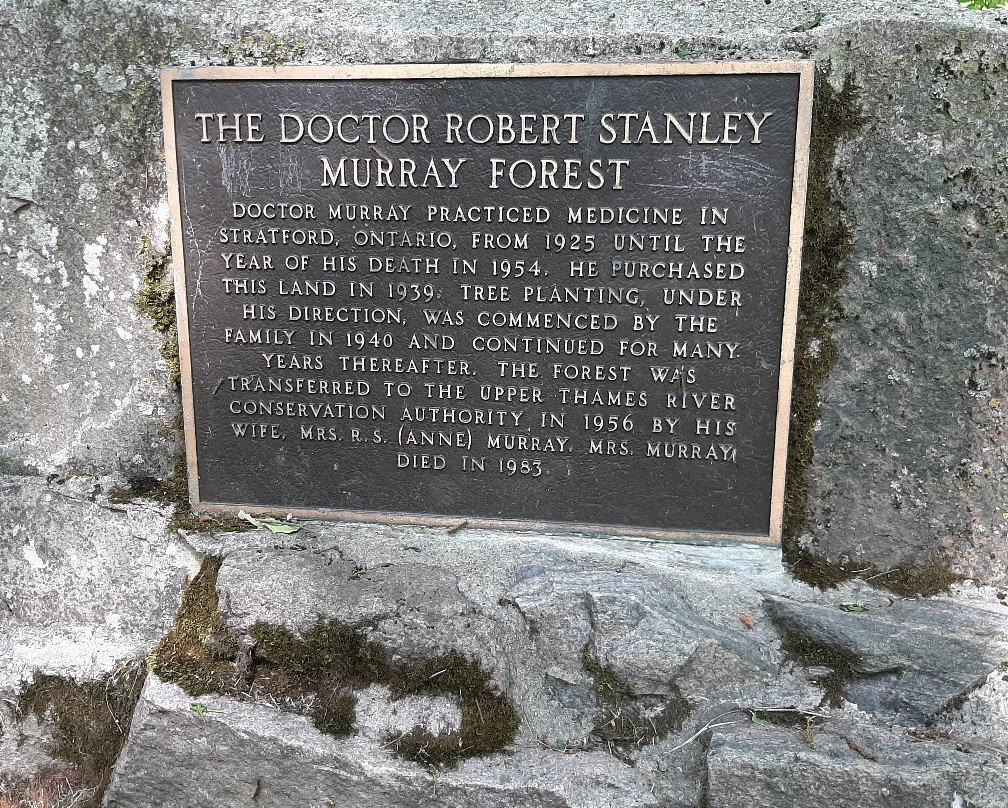 Wildwood Conservation Area-圣玛丽必去景点