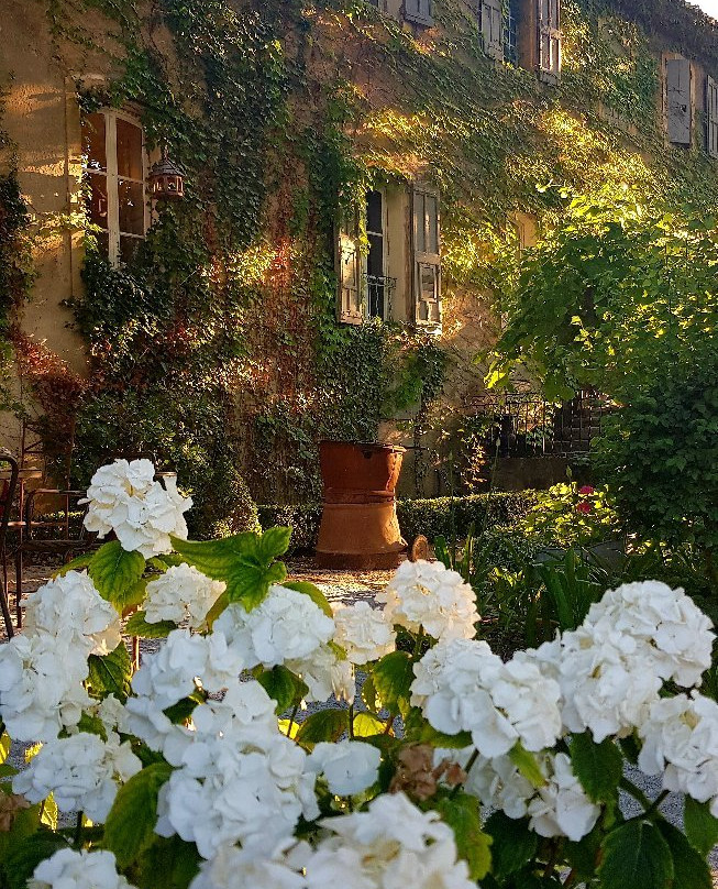 Château de Jouques主图