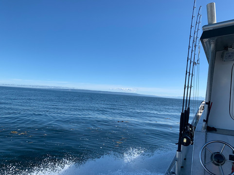 Central Charters and Tours-荷马必去景点