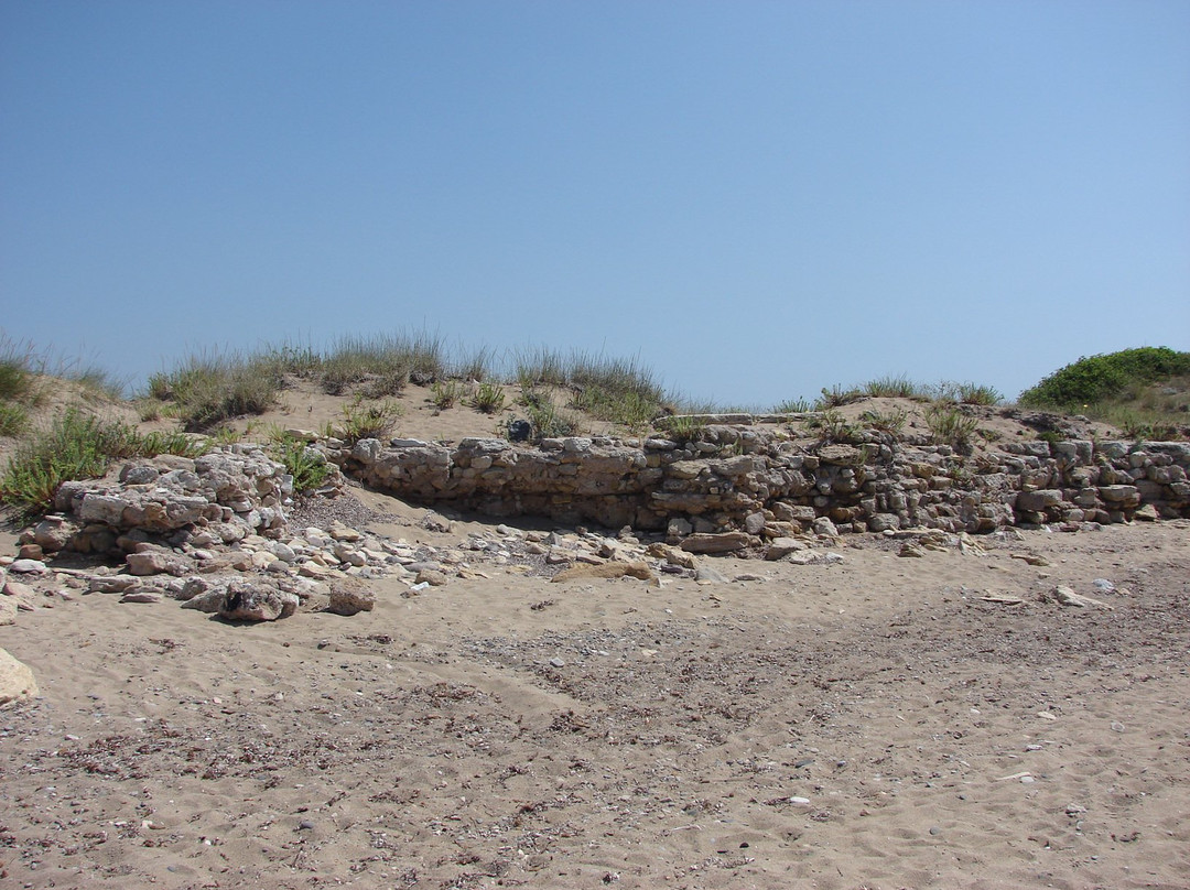 Troas Antik Liman景点图片