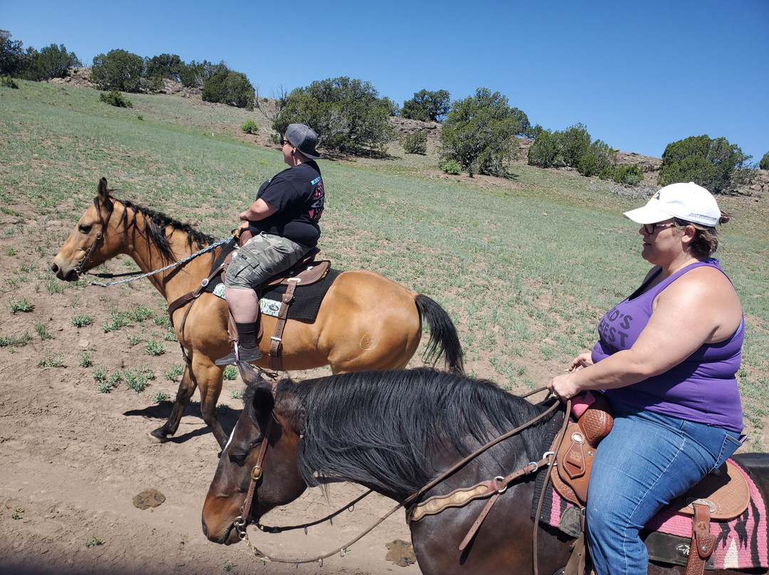Pinetop Lakes Activity Center & Stables-Pinetop-Lakeside必去景点