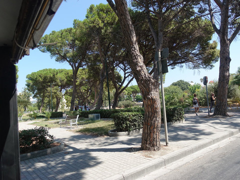 Kos Mini Trains-Kos Town必去景点