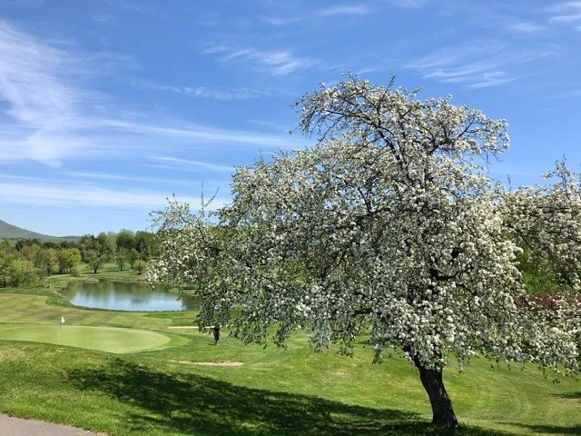 Golf Chateau Bromont-Bromont必去景点