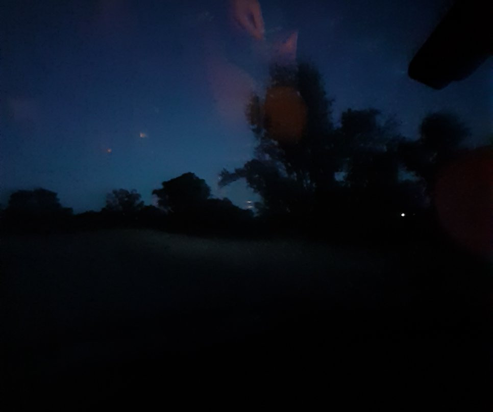 Gray Lodge Wildlife Area-Gridley必去景点