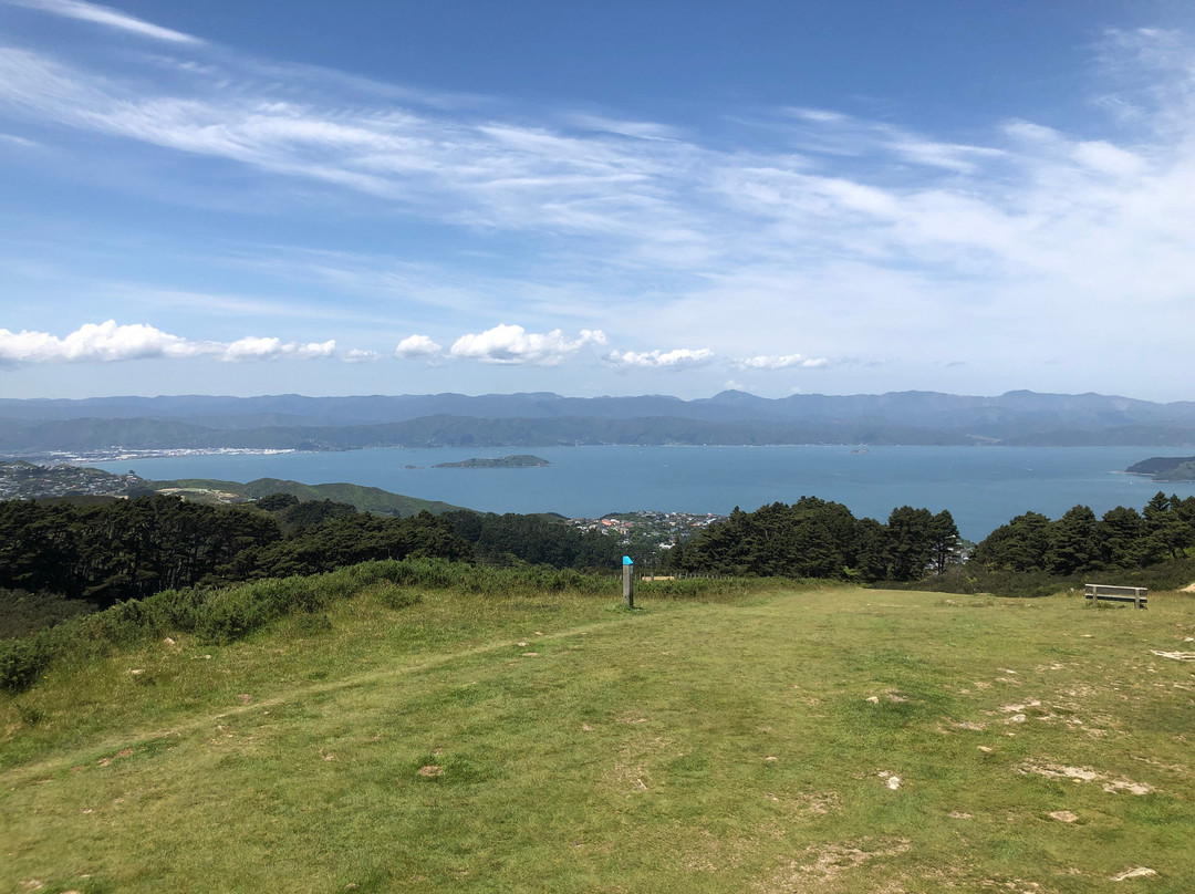 Mount Kaukau景点图片