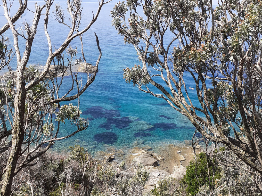 Cala San Quirico景点图片