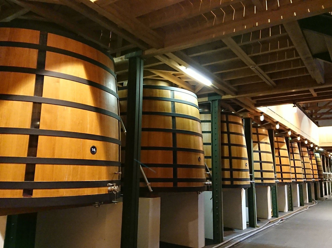 Bacchus Tours-波尔多必去景点