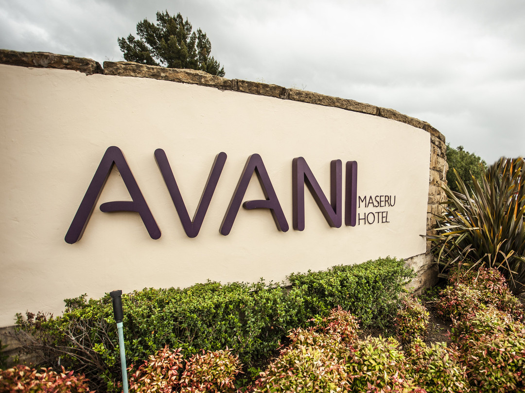 马塞卢安凡尼酒店主图