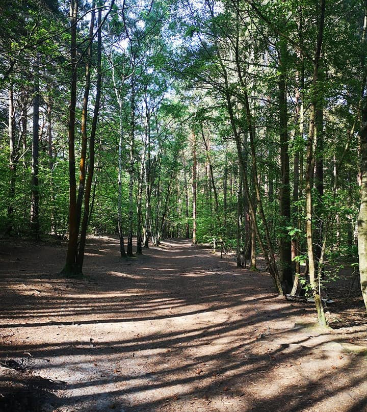 Esher Common-Esher必去景点