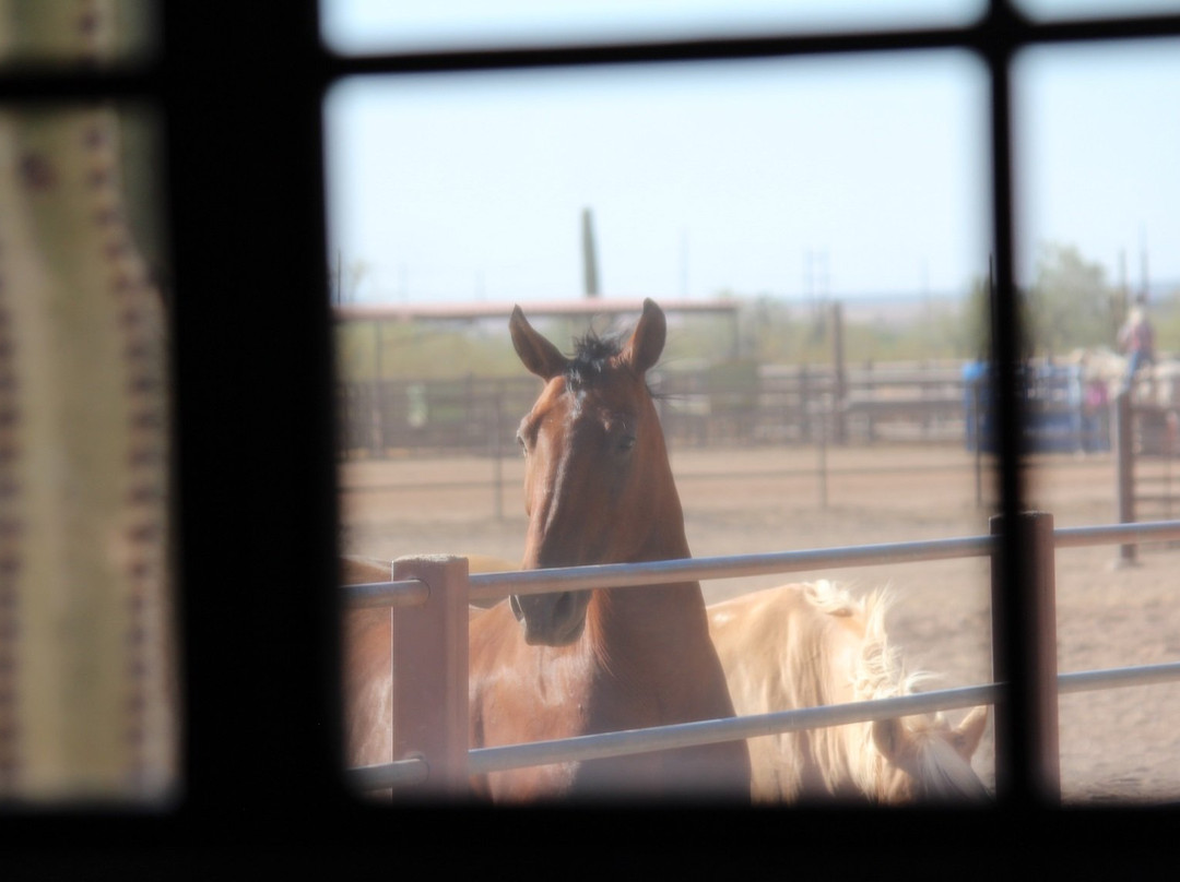 白马牧场酒店主图