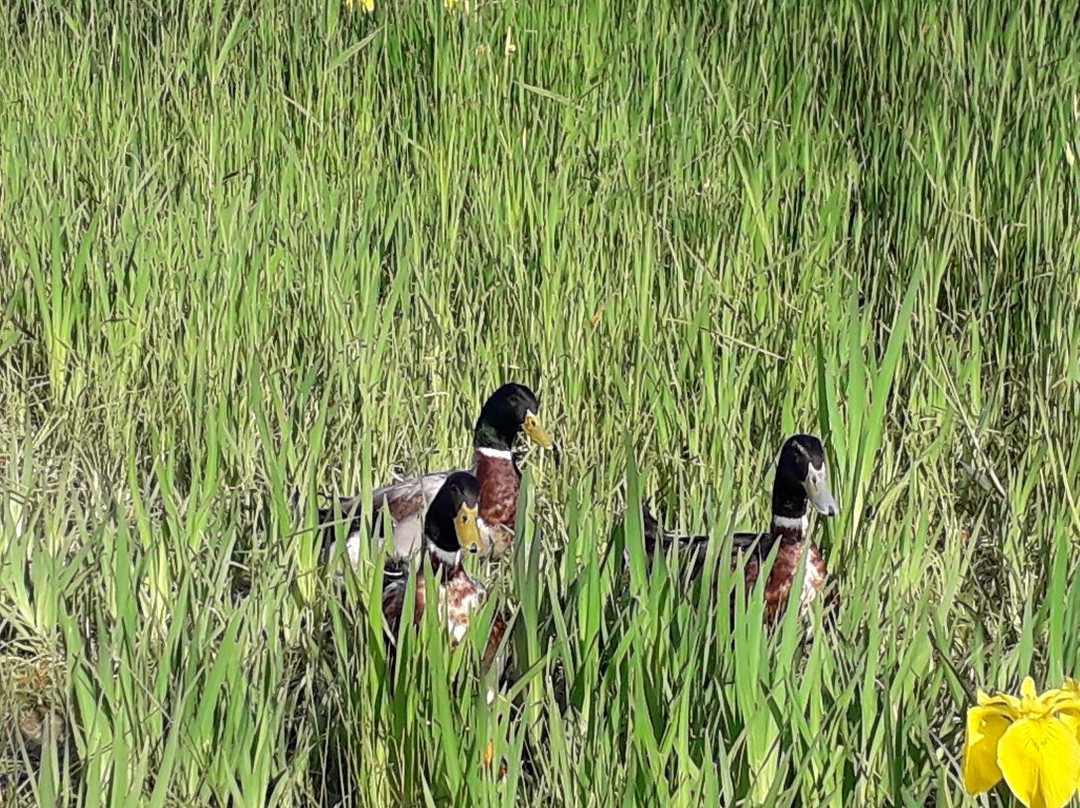 Yangsan Water Park-梁山市必去景点