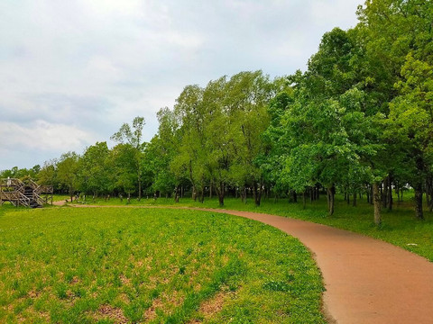 Binnuma Nature Park-富士见市必去景点