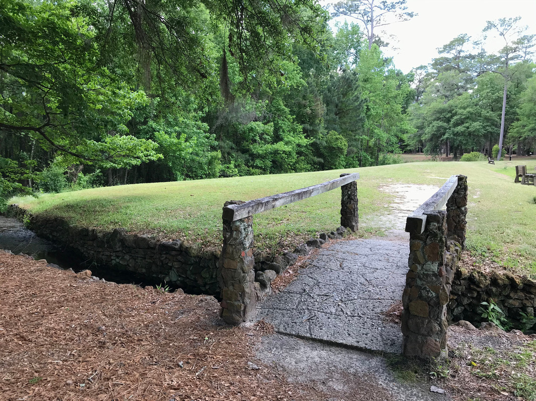 Lee State Park-Bishopville必去景点