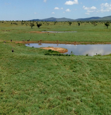 Ekea Safaris-迪亚尼必去景点