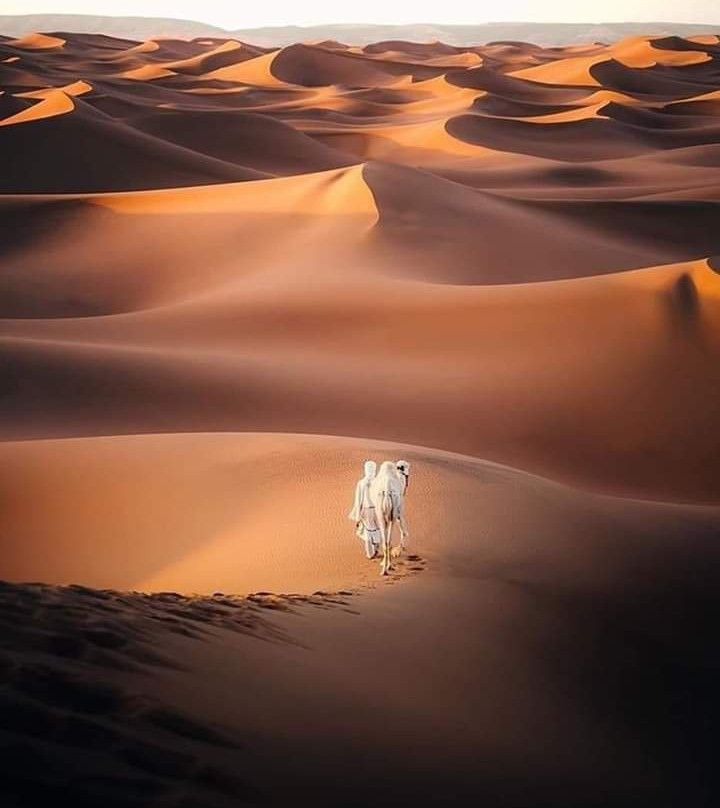 Foum Zguid to Chegaga Tours-Foum Zguid必去景点