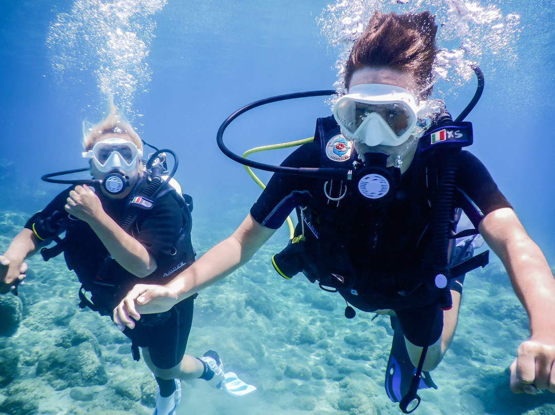 Wild Fun Dive-扎金索斯必去景点