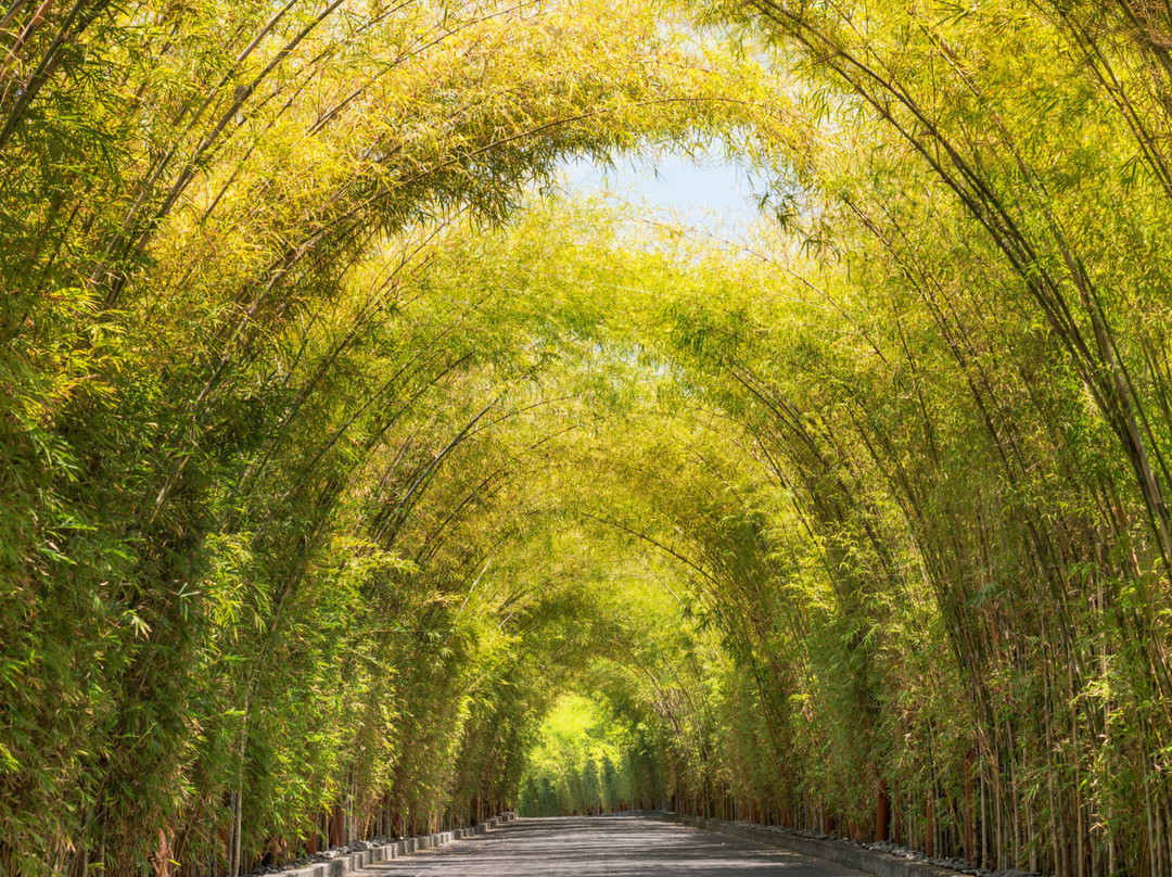 巴厘岛塞米亚克 W 酒店主图