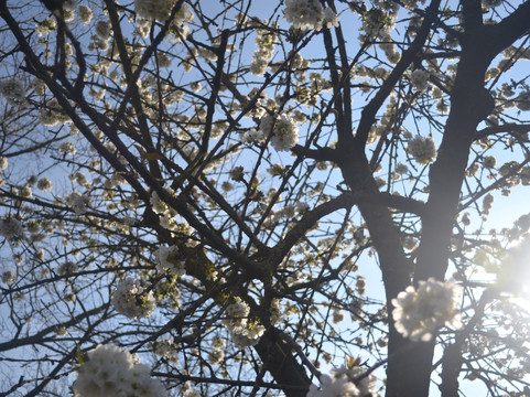 亨厄洛城市酒店主图