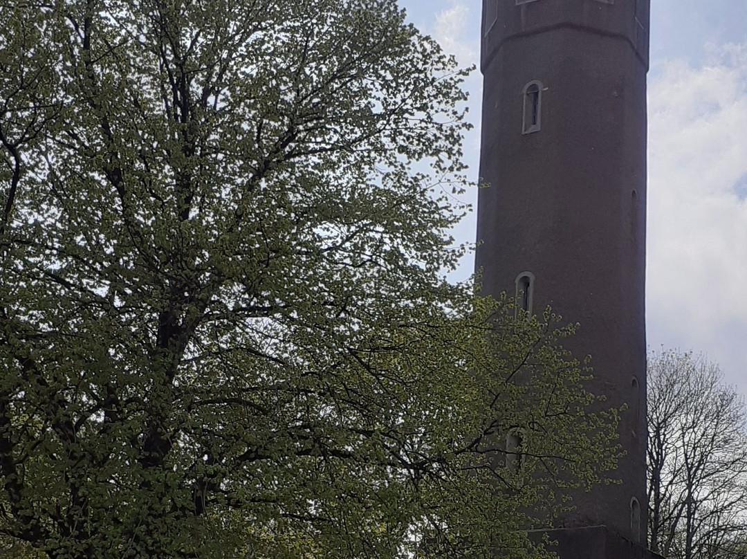 Ludwigsturm auf dem Donnersberg景点图片