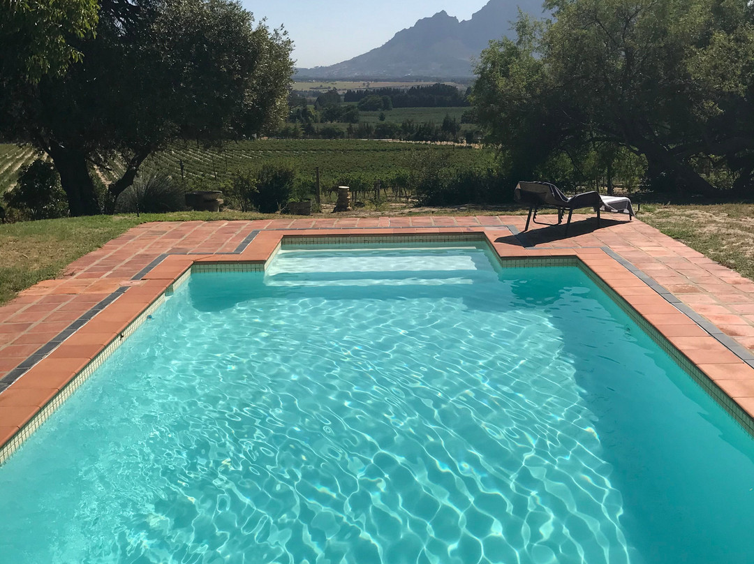 Topiary Wine Estate-Wemmershoek必去景点