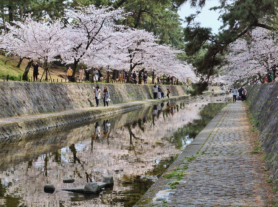 Shukugawa Park-西宫市必去景点