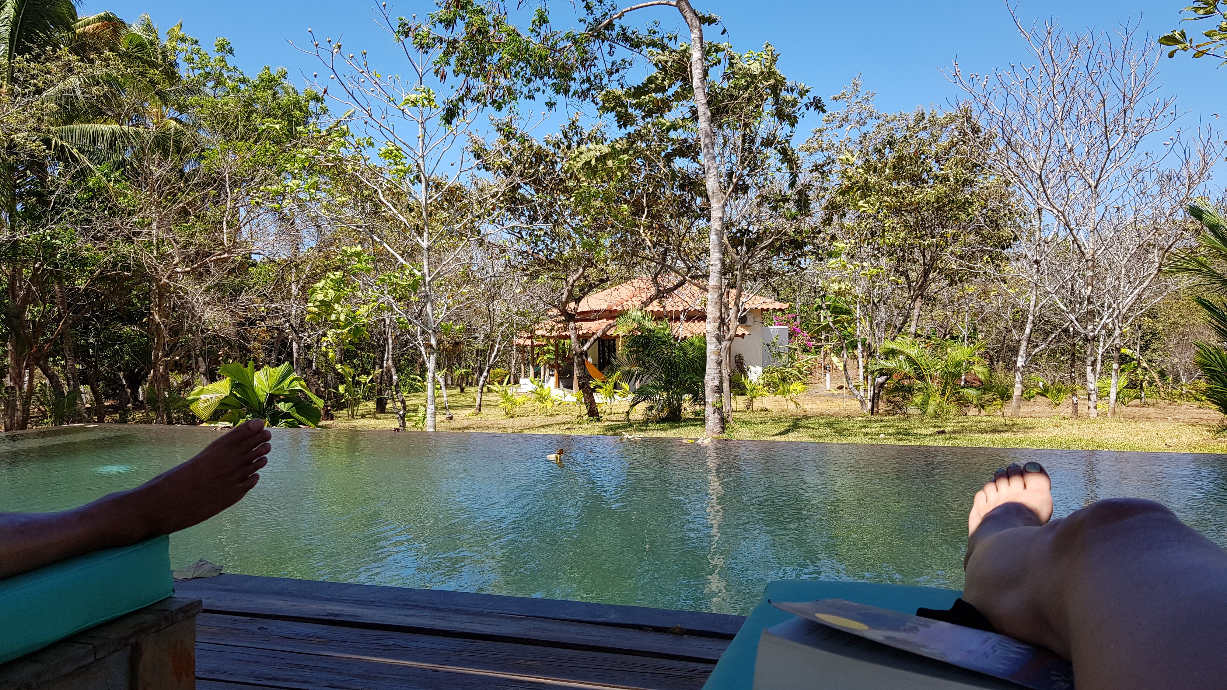Villa Coco-泳池