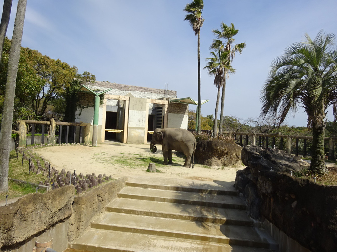Miyazaki City Phoenix Zoo-宫崎市必去景点