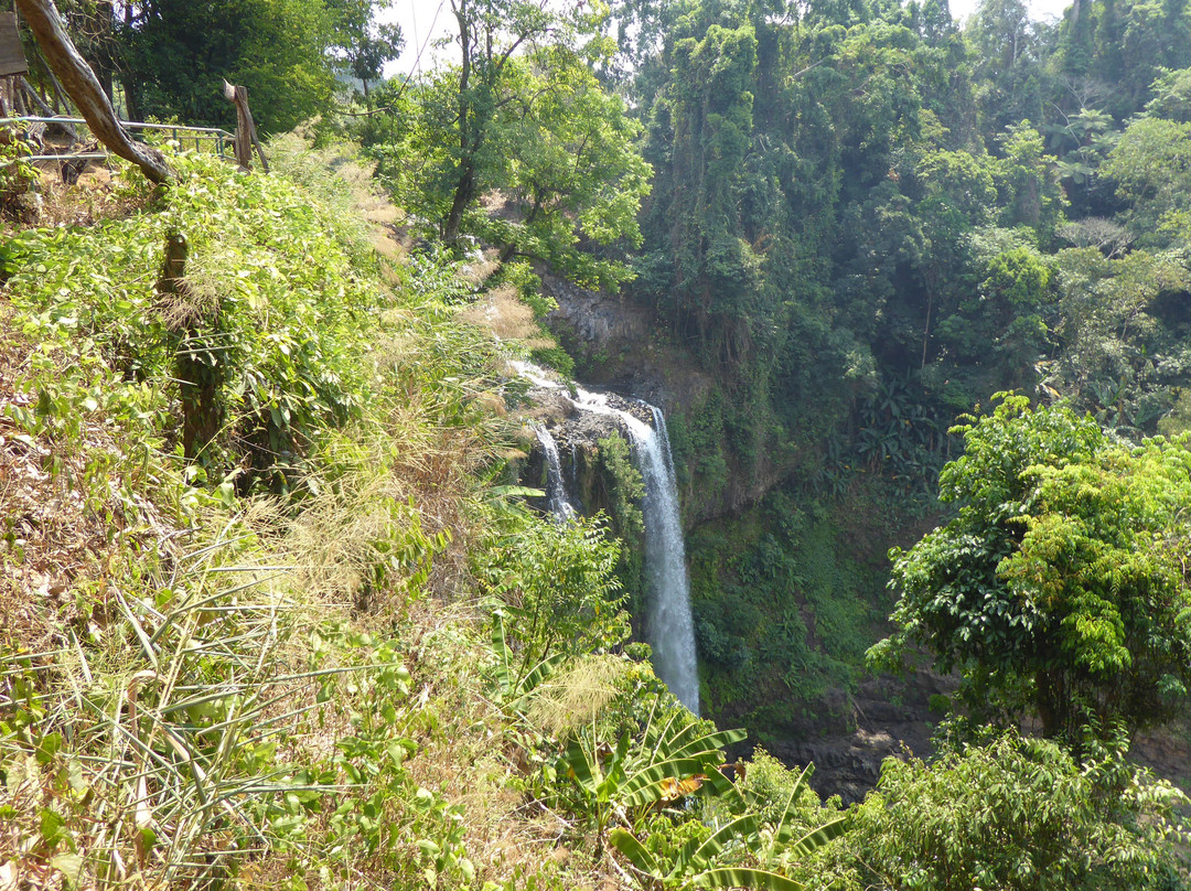 Tad Yuang Waterfalls景点图片