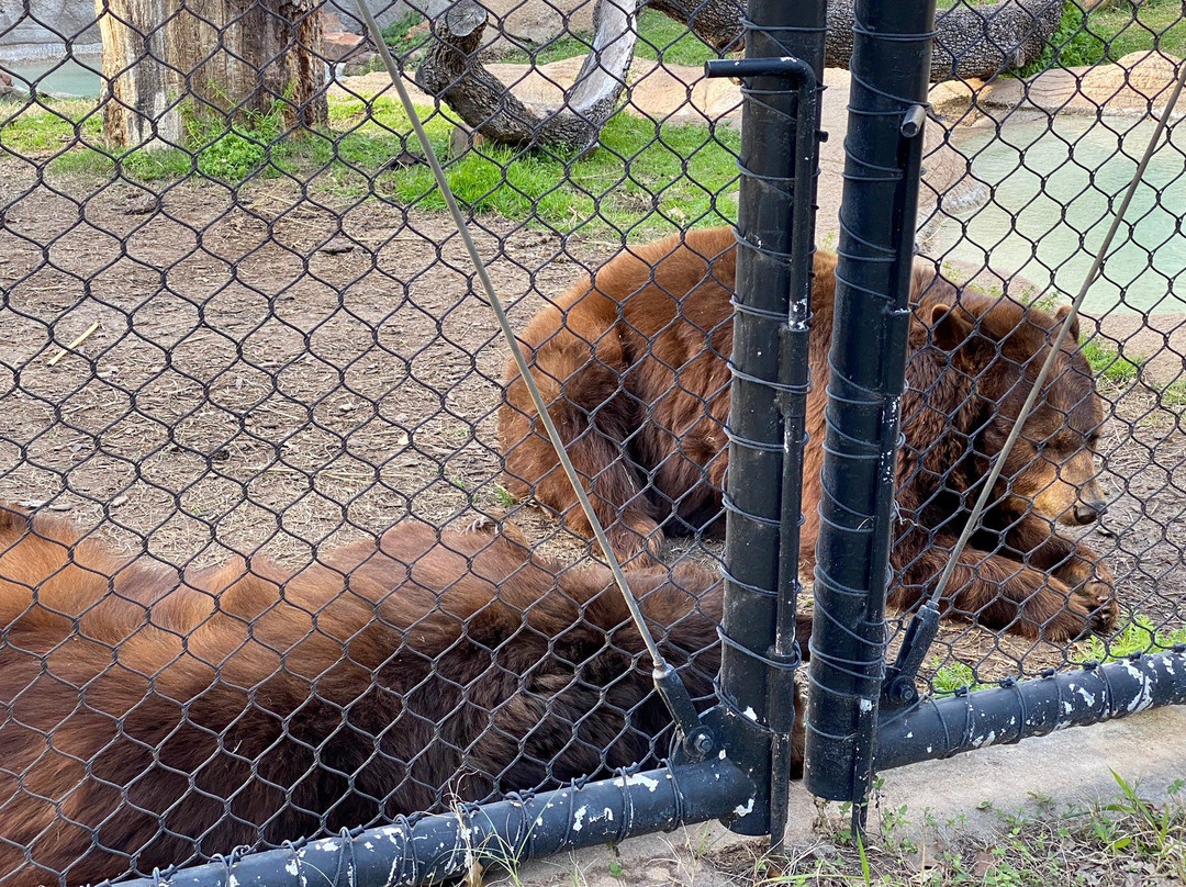 Baylor University-韦科必去景点