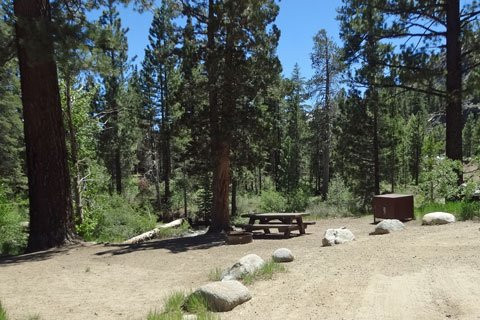 Leavitt Meadows Campground