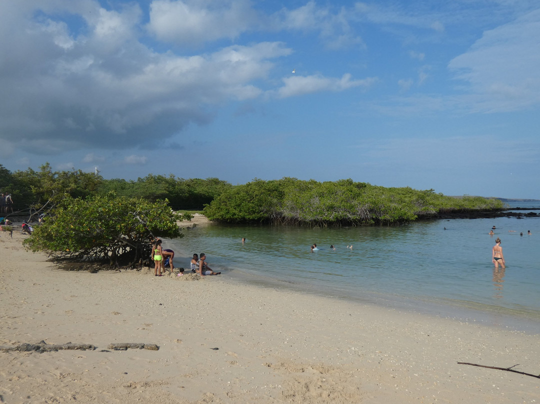Playa de los Alemanes景点图片