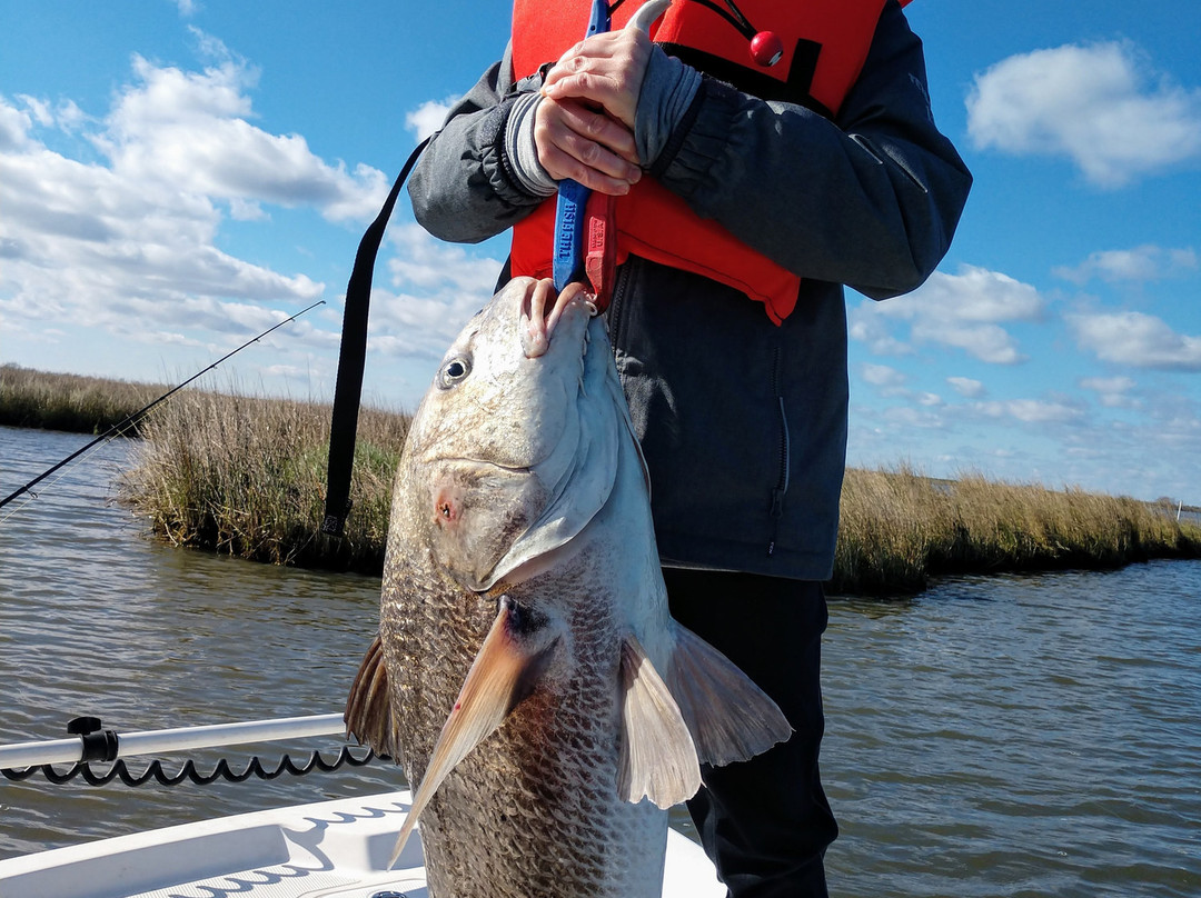 Redfish Nation-Saint Bernard必去景点