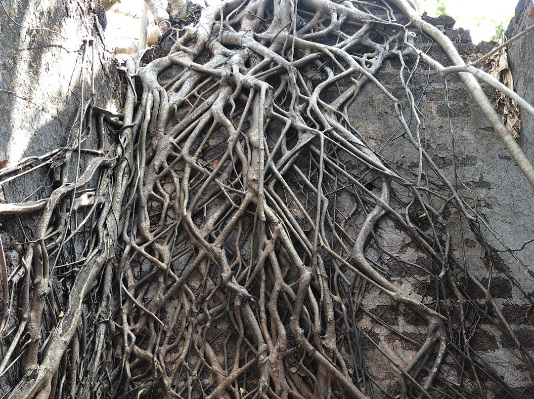 Yashwantgad Fort (Redi Fort)景点图片