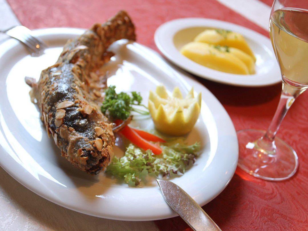 Hotel & Gasthof Zur Linde主图