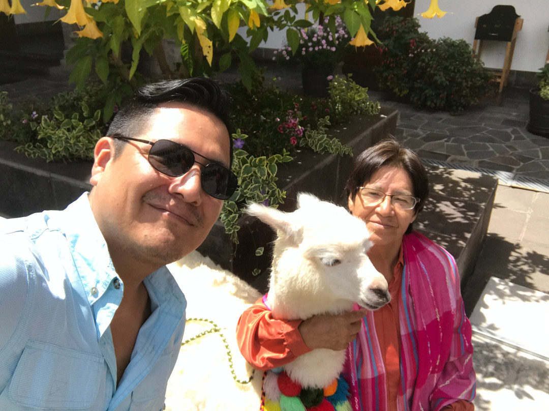 库斯科 JW 万豪酒店主图