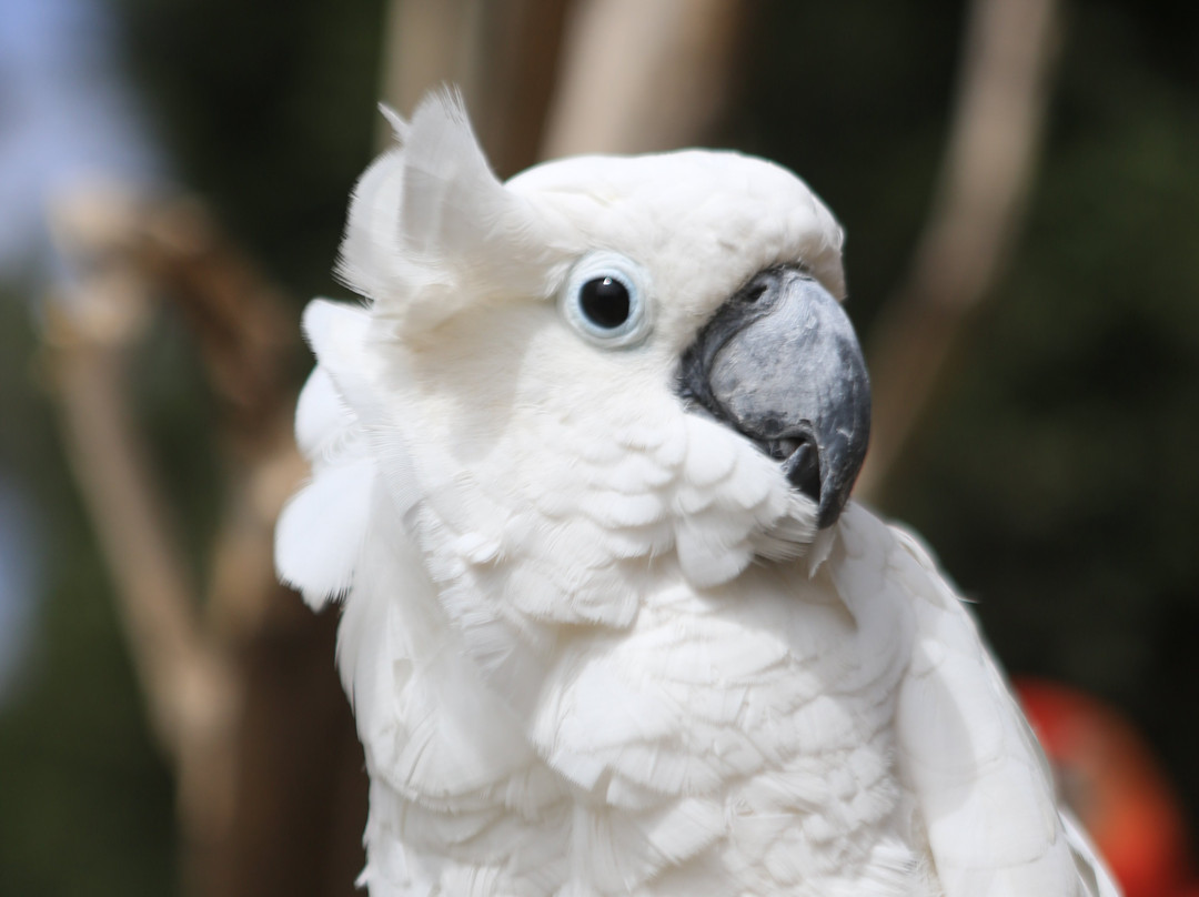 Le Zoo d'Agadir-阿加迪尔必去景点