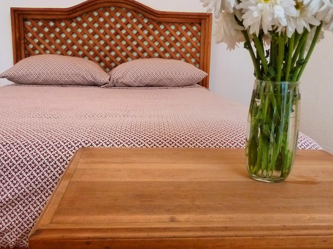 La Casa del Poblanito Hotel Bed & Breakfast & Tours主图