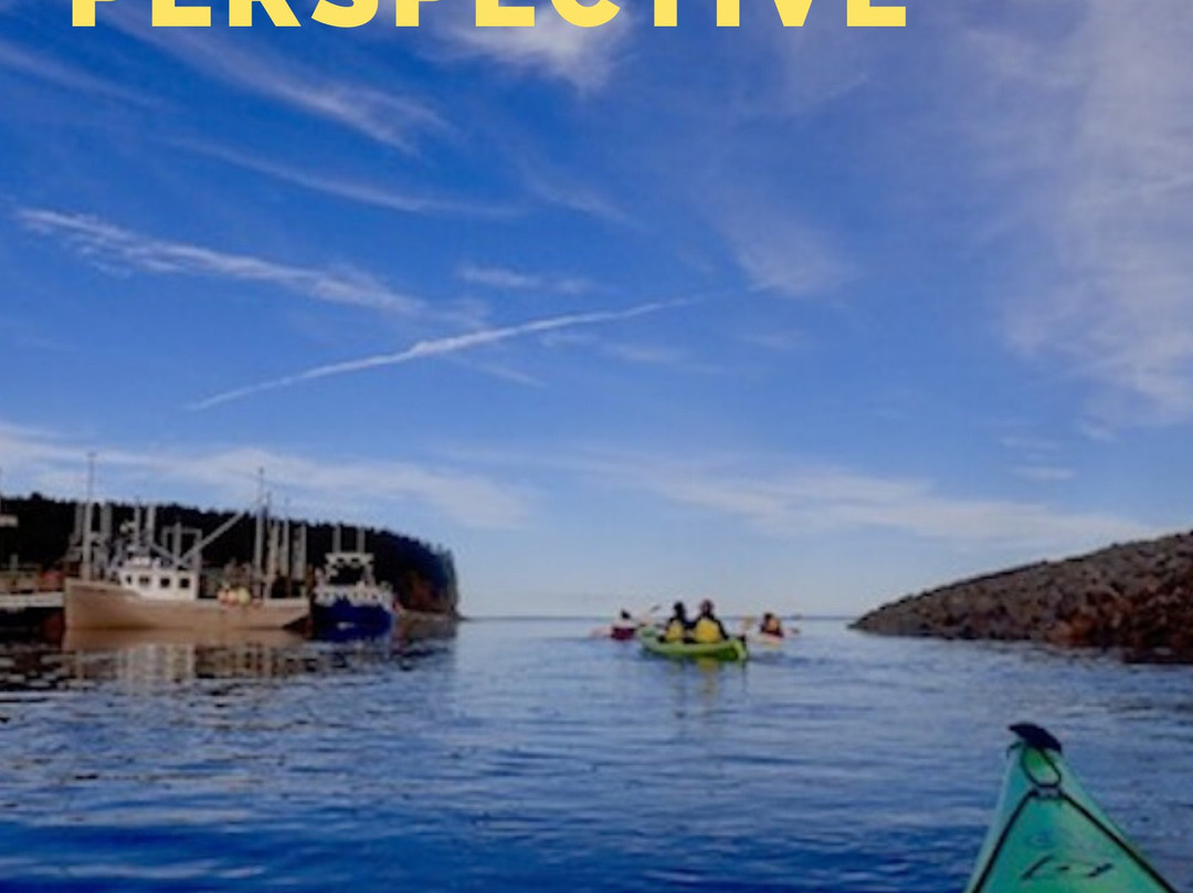 Kayak Fundy - FreshAir Adventure-阿尔马必去景点