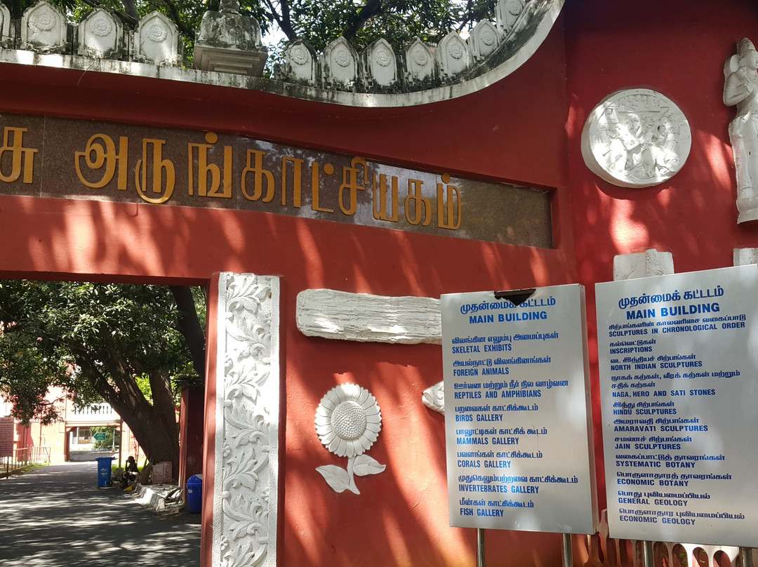Government Museum-金奈（马德拉斯）必去景点