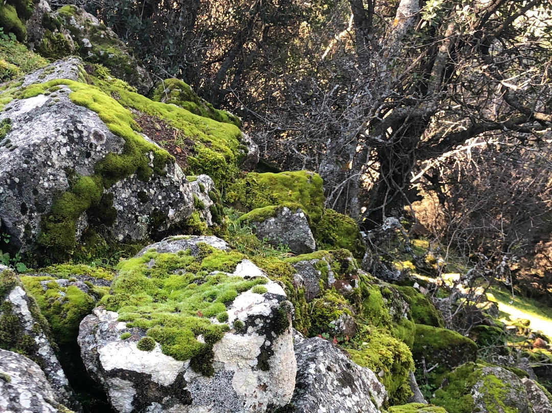 Aigai Ancient City-Manisa必去景点